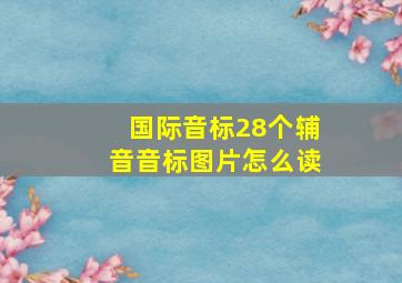 国际音标28个辅音音标图片怎么读