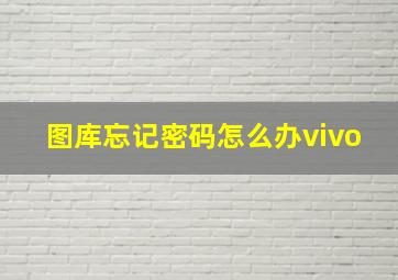 图库忘记密码怎么办vivo