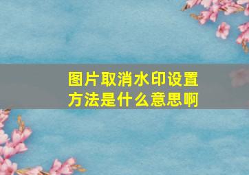 图片取消水印设置方法是什么意思啊