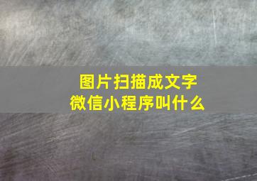 图片扫描成文字微信小程序叫什么