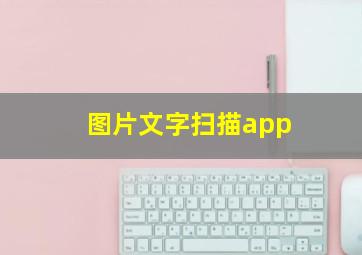 图片文字扫描app