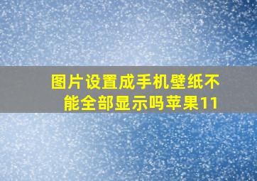 图片设置成手机壁纸不能全部显示吗苹果11