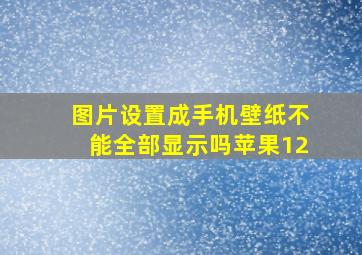 图片设置成手机壁纸不能全部显示吗苹果12