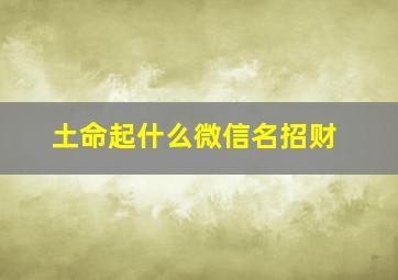 土命起什么微信名招财