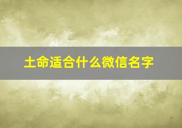 土命适合什么微信名字