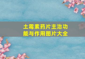 土霉素药片主治功能与作用图片大全