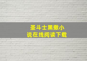 圣斗士黑撒小说在线阅读下载