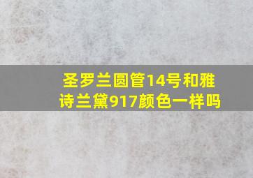 圣罗兰圆管14号和雅诗兰黛917颜色一样吗