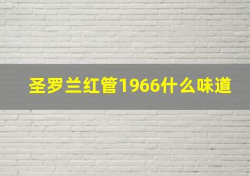 圣罗兰红管1966什么味道