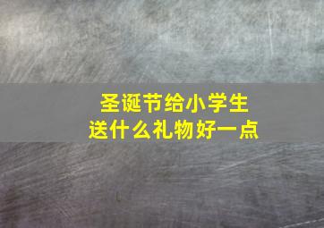 圣诞节给小学生送什么礼物好一点