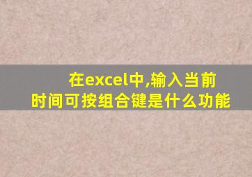 在excel中,输入当前时间可按组合键是什么功能