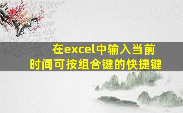 在excel中输入当前时间可按组合键的快捷键