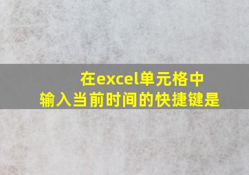 在excel单元格中输入当前时间的快捷键是