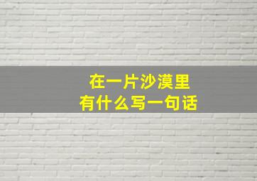 在一片沙漠里有什么写一句话