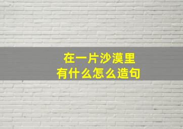 在一片沙漠里有什么怎么造句