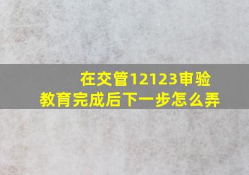 在交管12123审验教育完成后下一步怎么弄