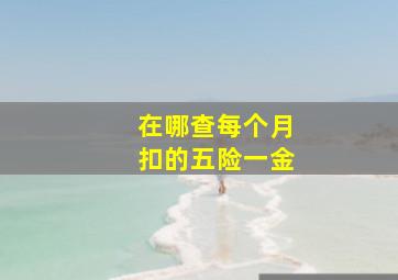 在哪查每个月扣的五险一金