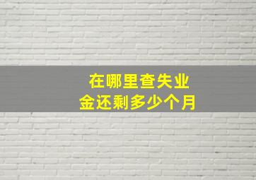 在哪里查失业金还剩多少个月