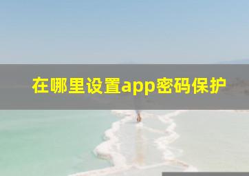 在哪里设置app密码保护