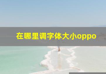 在哪里调字体大小oppo