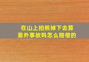 在山上拍照掉下去算意外事故吗怎么赔偿的