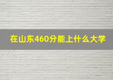 在山东460分能上什么大学