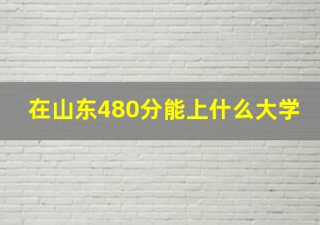 在山东480分能上什么大学