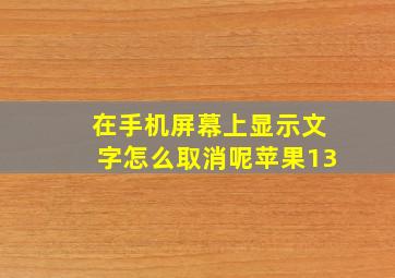 在手机屏幕上显示文字怎么取消呢苹果13