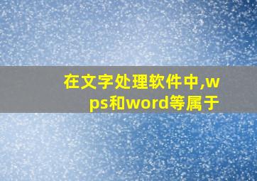 在文字处理软件中,wps和word等属于