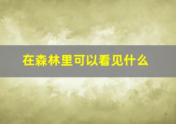 在森林里可以看见什么