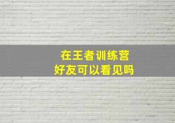 在王者训练营好友可以看见吗