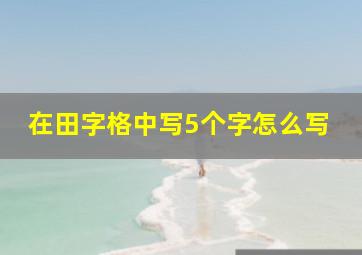 在田字格中写5个字怎么写