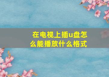 在电视上插u盘怎么能播放什么格式