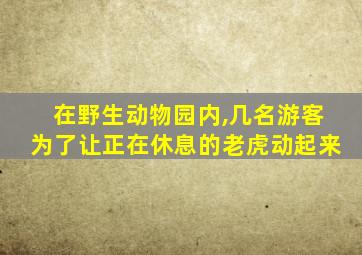 在野生动物园内,几名游客为了让正在休息的老虎动起来