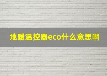 地暖温控器eco什么意思啊