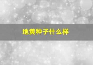 地黄种子什么样