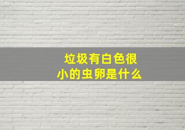 垃圾有白色很小的虫卵是什么