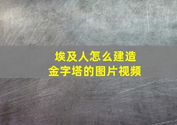 埃及人怎么建造金字塔的图片视频