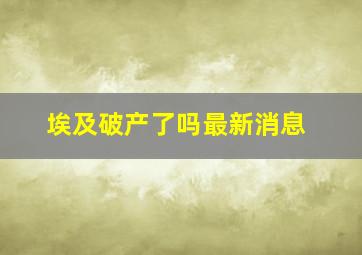 埃及破产了吗最新消息