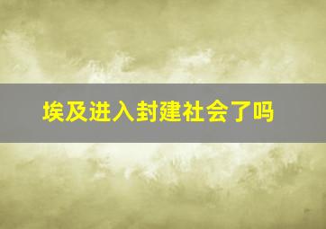 埃及进入封建社会了吗