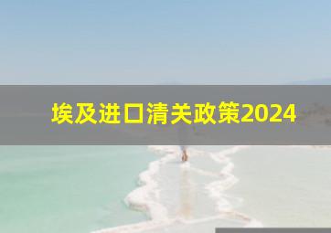 埃及进口清关政策2024