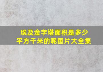 埃及金字塔面积是多少平方千米的呢图片大全集