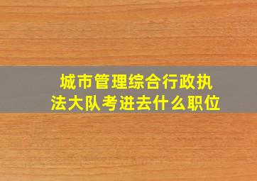 城市管理综合行政执法大队考进去什么职位