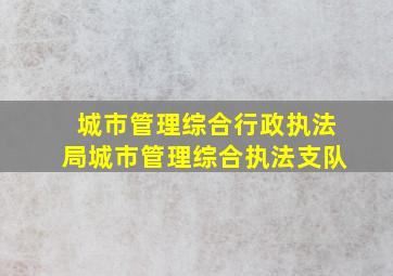 城市管理综合行政执法局城市管理综合执法支队