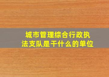 城市管理综合行政执法支队是干什么的单位