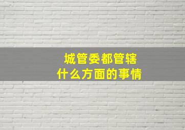 城管委都管辖什么方面的事情