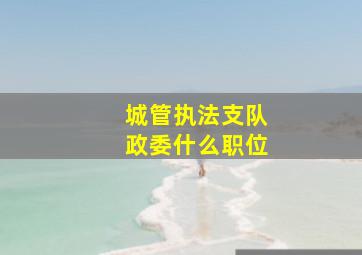 城管执法支队政委什么职位