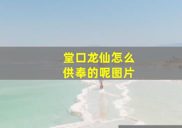 堂口龙仙怎么供奉的呢图片