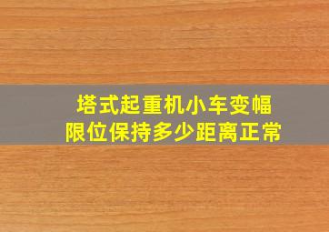 塔式起重机小车变幅限位保持多少距离正常