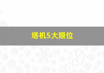 塔机5大限位